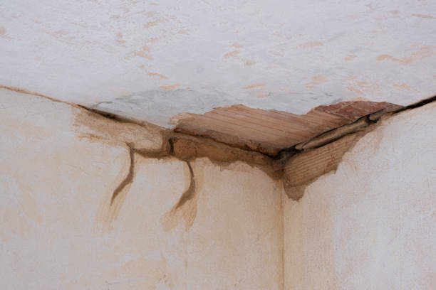Best Emergency water damage restoration  in Conshohocken, PA
