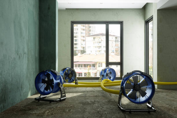  Conshohocken, PA Water damage restoration Pros